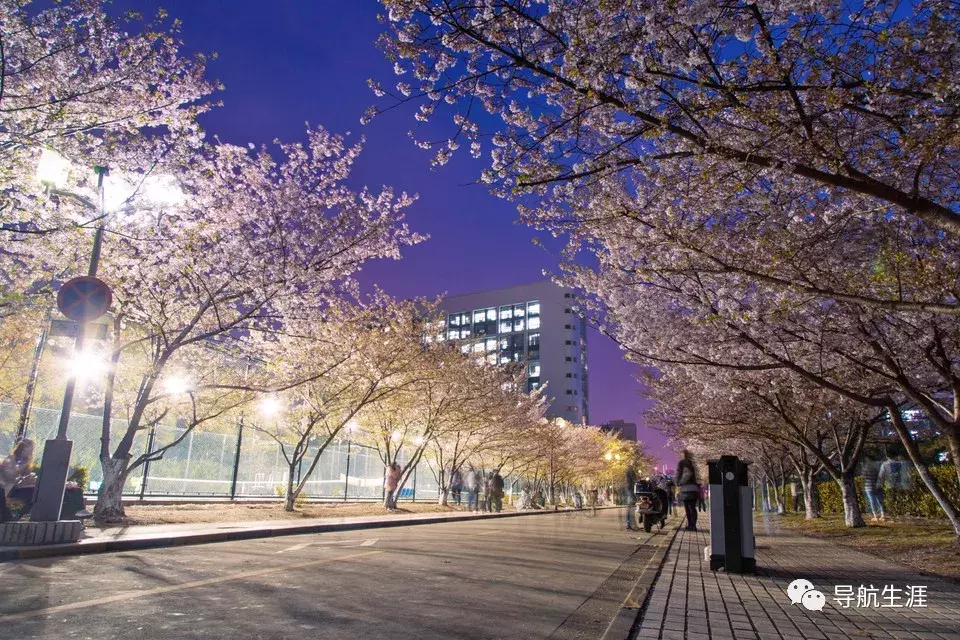 走进名校50：同济大学