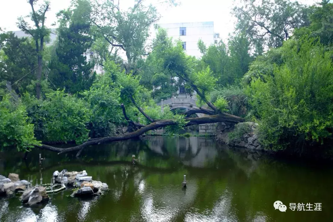 走进名校50：同济大学