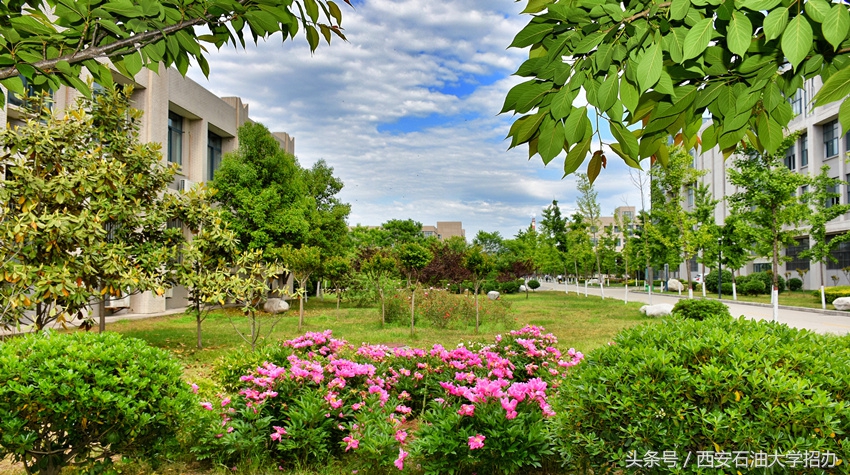 毕业倒计时！西安石油大学毕业生都去这5个地方打卡！你知道吗？