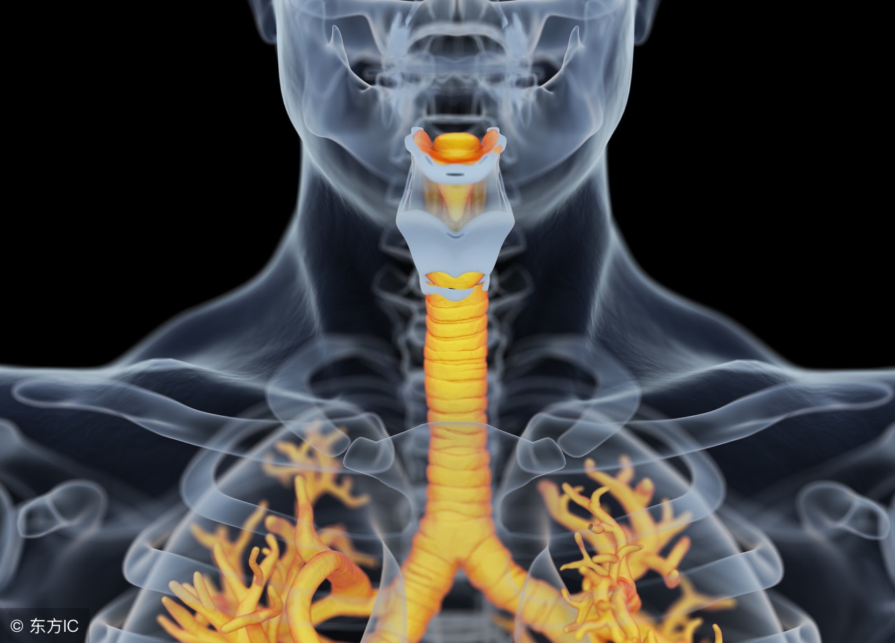 支气管炎怎么办?送你几个食疗法,让身体好得更快