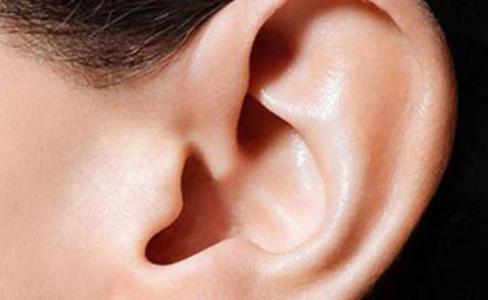 心理学家：从耳朵的形状可以判断出你的性格特点！