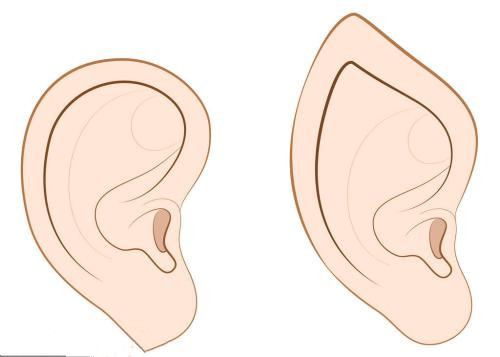 心理学家：从耳朵的形状可以判断出你的性格特点！