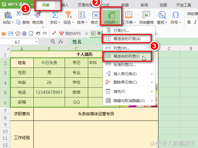 WPS Excel入门2：怎样快速调整单元格大小