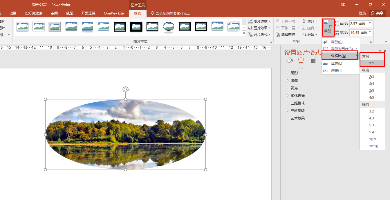 图片裁剪成圆形(ppt图片) - 赤虎壹号