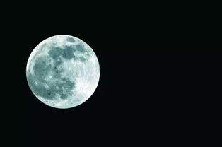 今人不见古时月，今月曾经照古人（名篇佳句229句之上部）