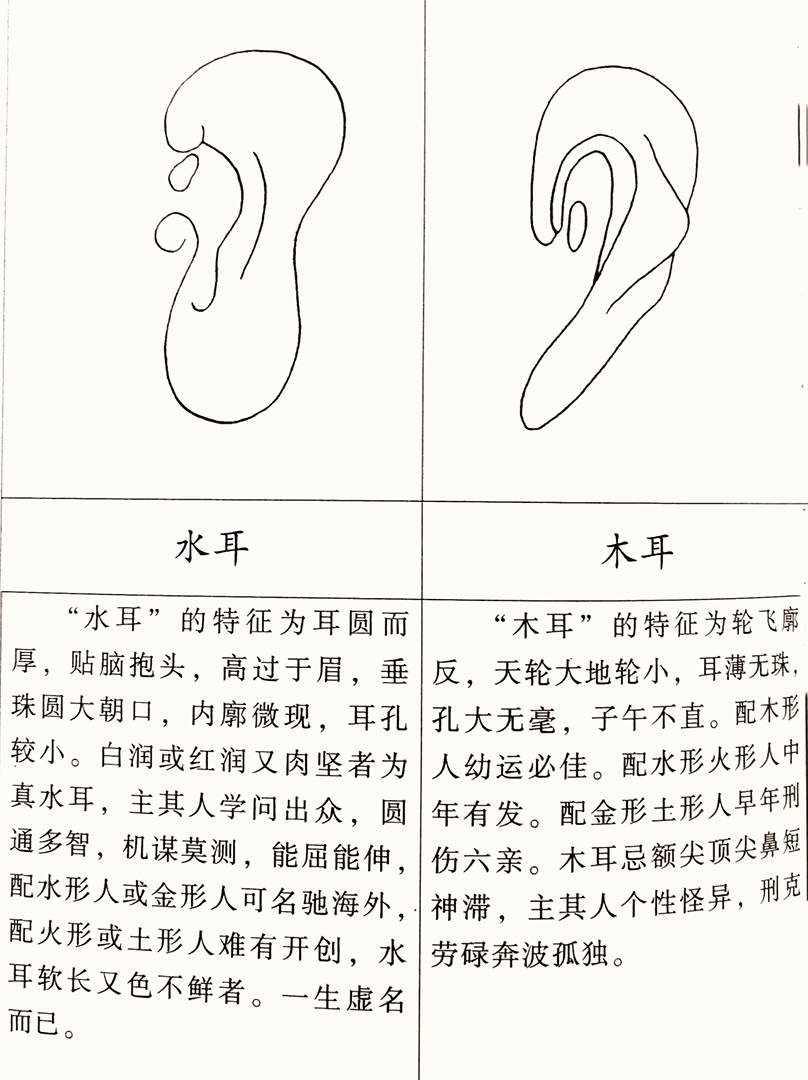 35岁耳朵长毛面相解说 耳朵长毛面相解析35岁_达一风水网