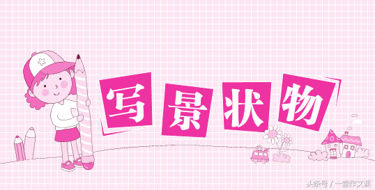 小鹦鹉吃饭真有趣