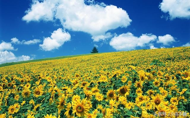 《朱子家训》拼音版全文和注释