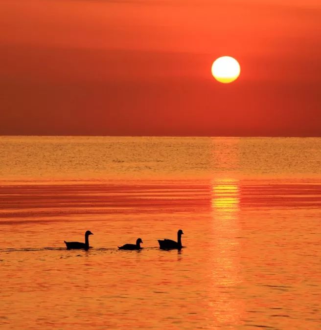 青海湖，是一见钟情，也是日久情深