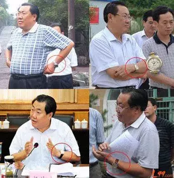 “严书记”前面，还有这些官员被网友扒皮后落马