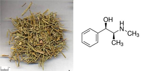 世界上有安全有效的减肥药吗？看完这篇，从此远离减肥药