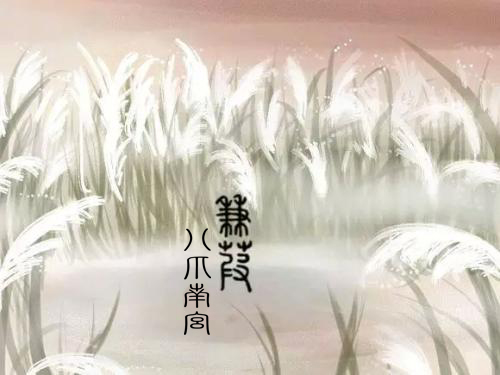 「popo文」5.20这天，单身狗莫慌，还有充满爱的小说陪你~