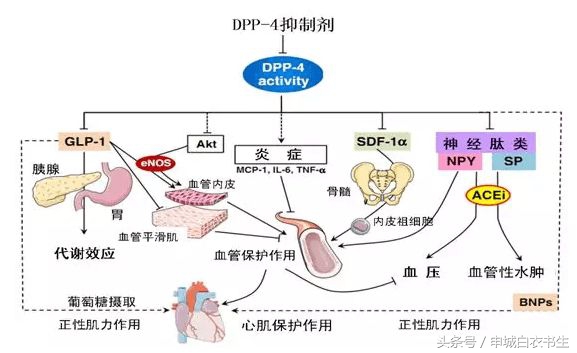 那个一年赚了糖尿病人21.58亿美元的降糖药物，效果到底怎么样？