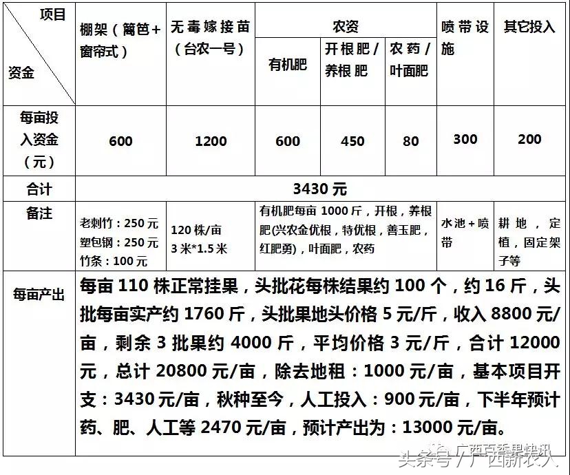 小农户示范案例：百香果秋种，预计产出12000元/亩，现在怎样了？