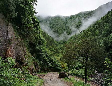 「原创诗词」七绝四首/江南：青山风涌千林醉，碧水云吞万绿香