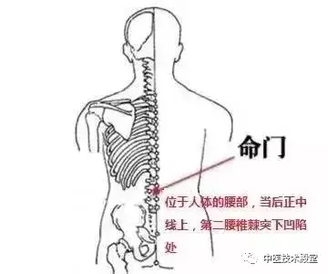 按摩健脾祛湿的位置图（健脾又祛湿的两个主要穴位）