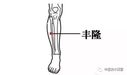 按摩健脾祛湿的位置图（健脾又祛湿的两个主要穴位）