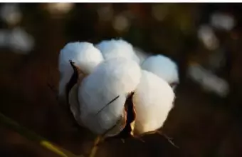 婴儿穿连体服的危害（给宝宝买衣服）