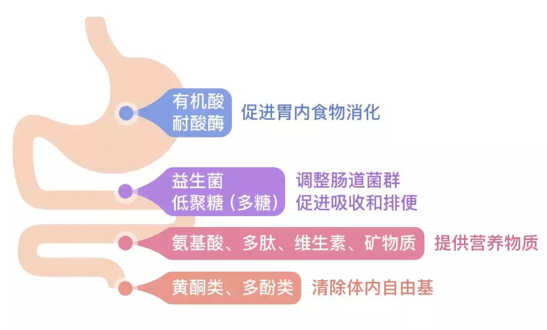 火上天的酵素到底有没有用?能减肥吗?今天给你撕个明白