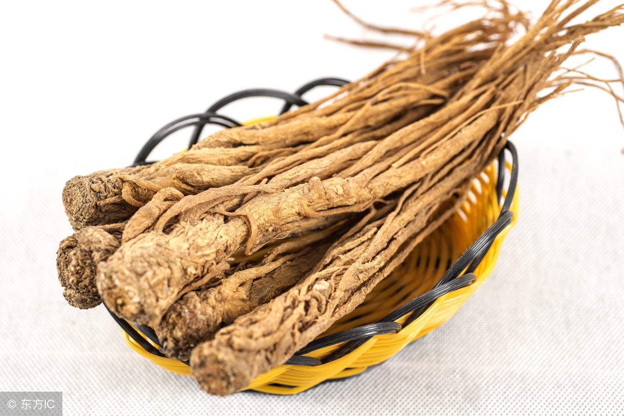 玄参的药性和归经当归与归参是一样吗