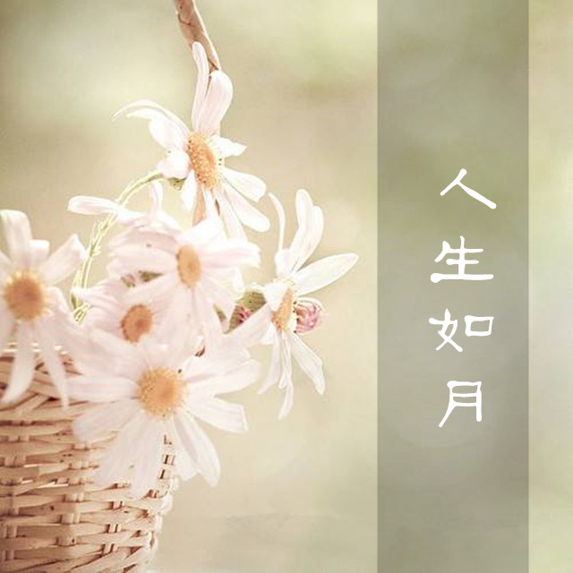 人生如月，月圆人未圆，千里相思寄清辉