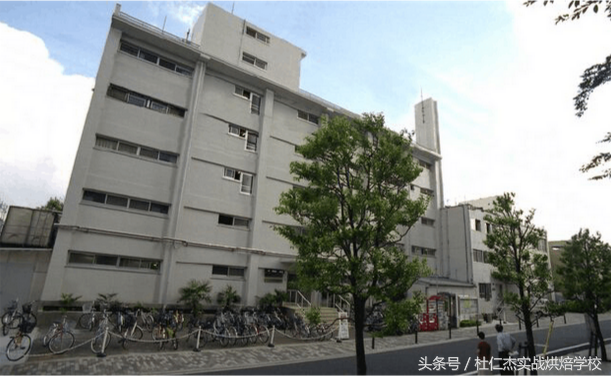 最好的西点蛋糕面包烘焙培训学校之东京制菓专门学校