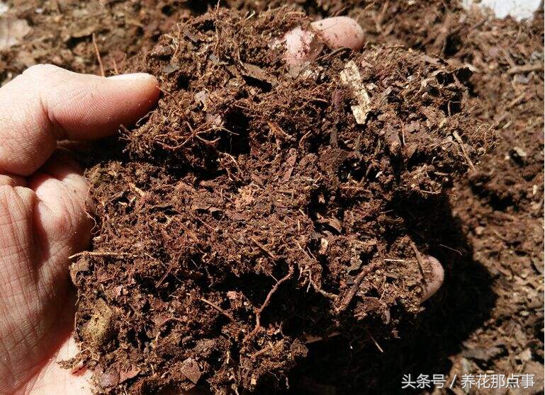 养花用土是关键,这17种养花基质要是搭配好了不论养啥都能养得好