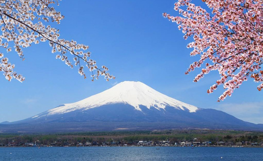 世界杯预赛日本换帅(世界杯巡礼之日本：换帅后重新开始的蓝武士)