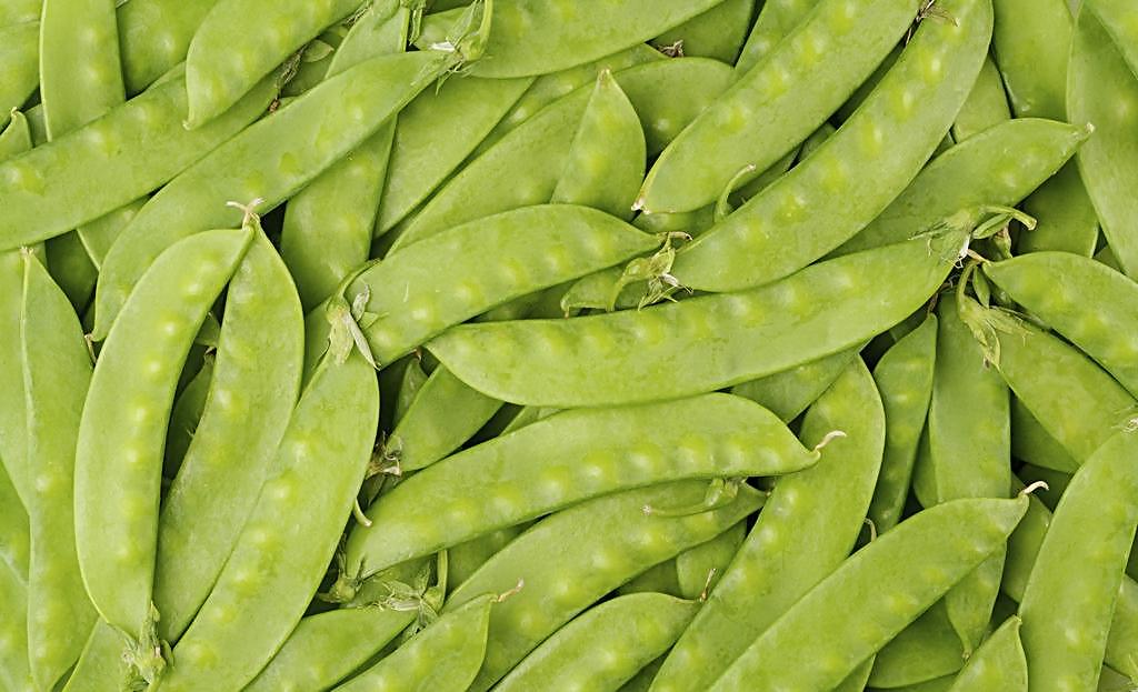 童年记忆:偷豌豆角