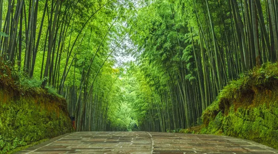 高考来了，18首状元诗词为学子壮行！