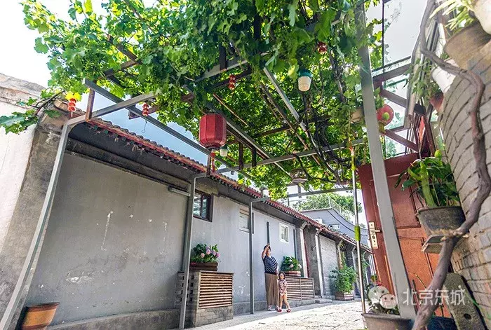 還是前門!繼三里河、西打磨廠后,這片胡同群“高顏值”回歸!