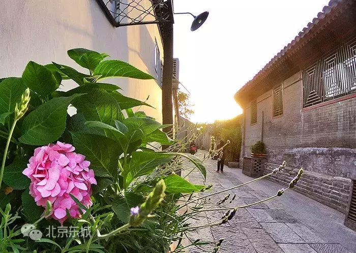 還是前門!繼三里河、西打磨廠后,這片胡同群“高顏值”回歸!