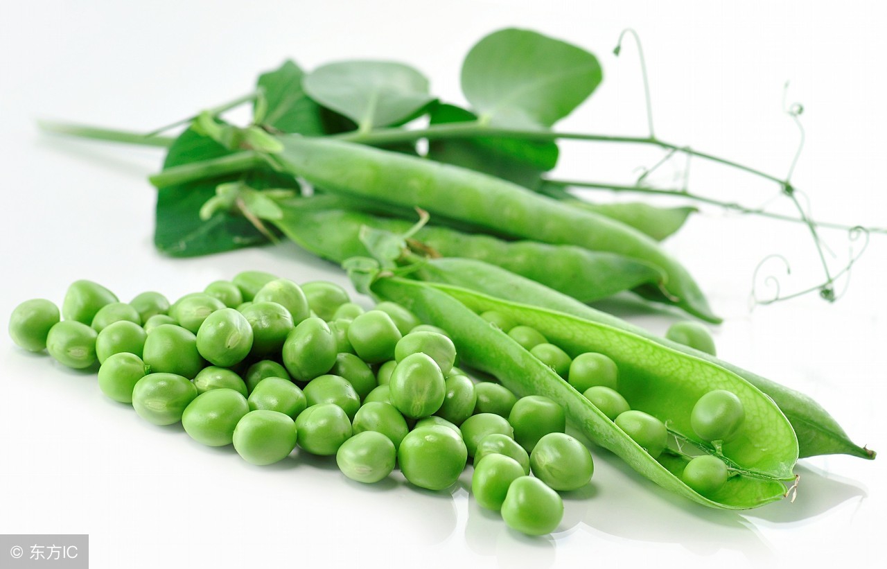大青豆的功效与作用-我的快乐小窝