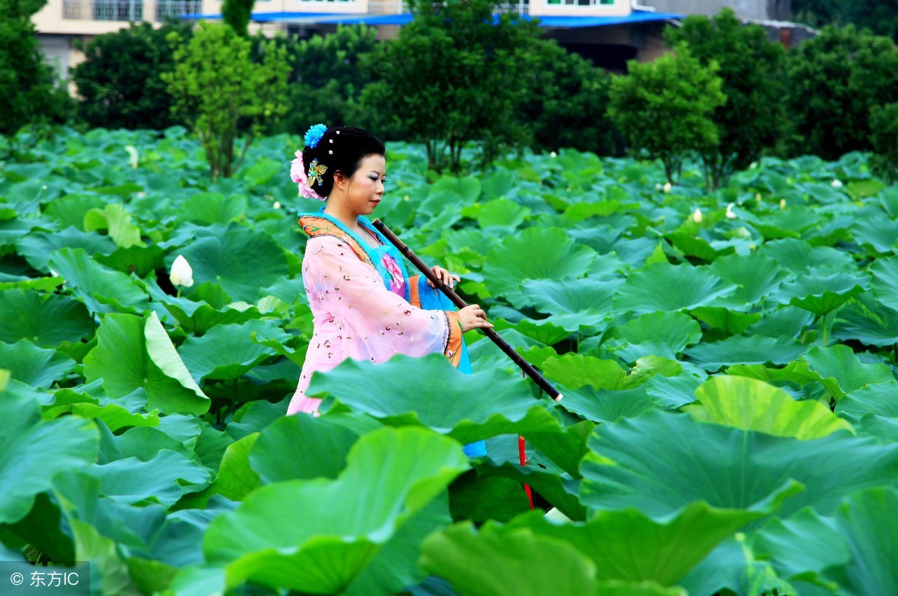 读宋词《永遇乐》（苏轼）