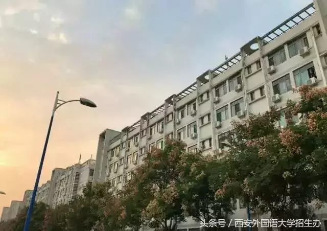 西安外国语大学2018年本科招生章程权威发布