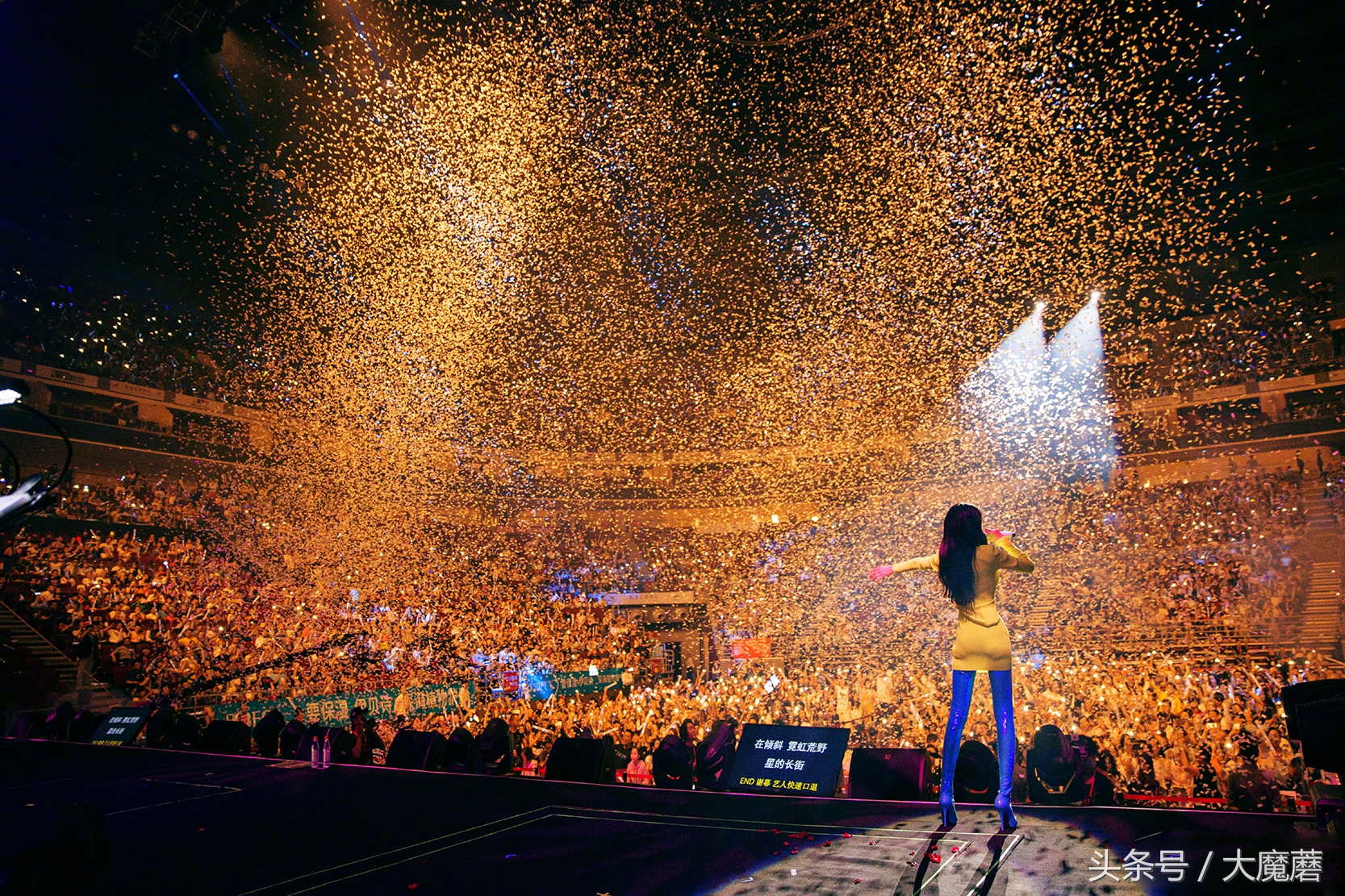 赵丽颖的第一次：看闺蜜张碧晨的演唱会，名字叫极光，很开心！