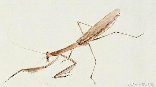 高一孩子的一篇文言文短文，不足800字，高考作文能得分么吗？