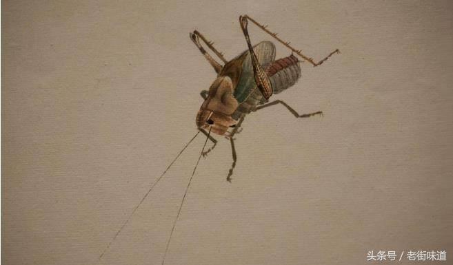 高一孩子的一篇文言文短文，不足800字，高考作文能得分么吗？