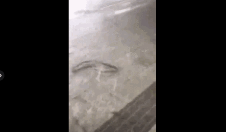 这些高校拼了！“最强”的招生广告来袭……最后一个笑岔