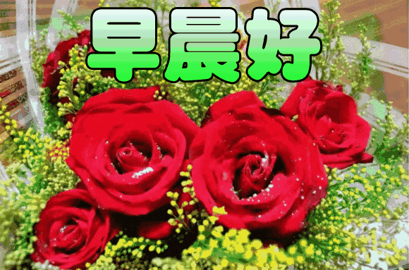 早上好，一份牵挂，一生朋友，送给知心的你，祝你开心健康幸运！