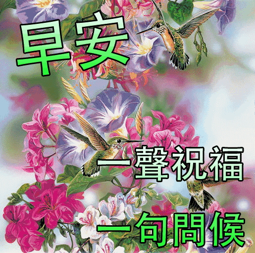 早上好，一份牵挂，一生朋友，送给知心的你，祝你开心健康幸运！