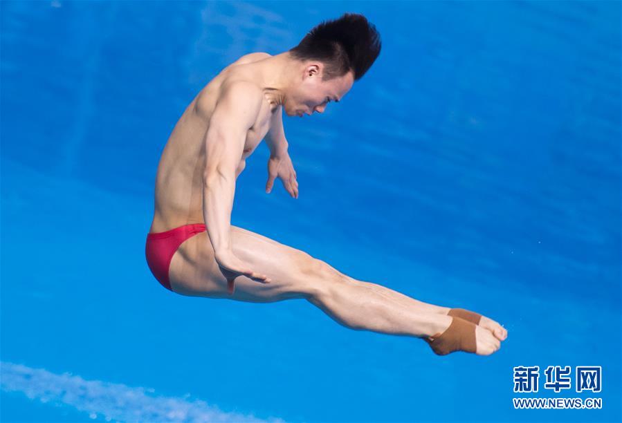 第一届跳水世界杯(第五次包揽世界杯金牌 跳水“梦之队”“无敌不寂寞”)