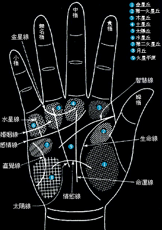 ST-手相怎么看，如何查看自己的婚姻、事业？教你怎样看手相！