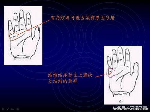 ST-手相怎么看，如何查看自己的婚姻、事业？教你怎样看手相！
