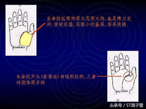 ST-手相怎么看，如何查看自己的婚姻、事业？教你怎样看手相！