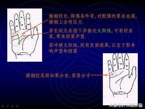 ST-手相怎么看，如何查看自己的婚姻、事业？教你怎样看手相！