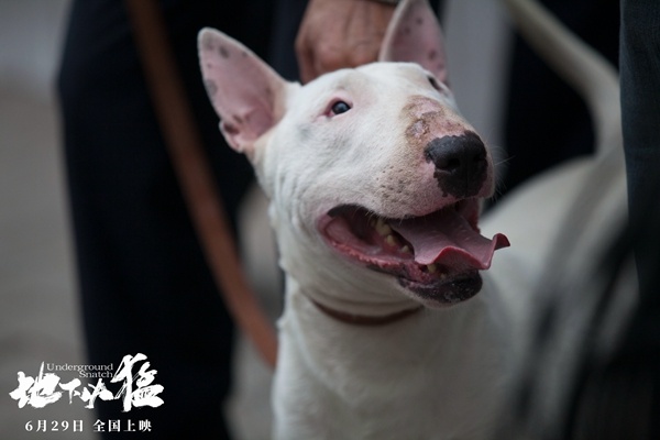 《地下凶猛》曝终极海报 “土味”幽默爆笑登场