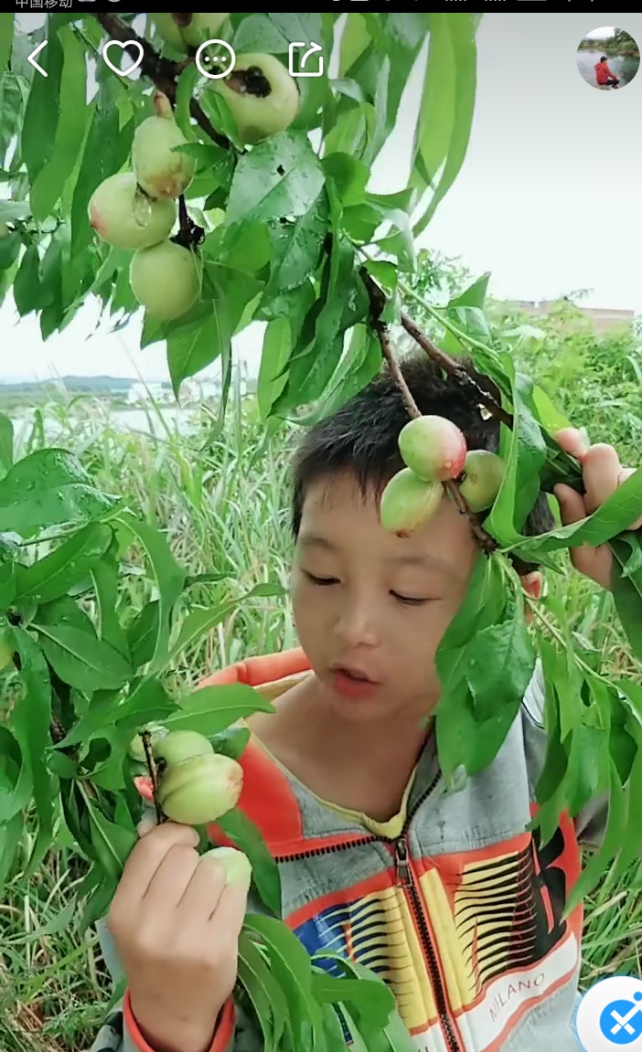 别再“暗恋桃花源”了 端午节来快手感受当代“桃花源”