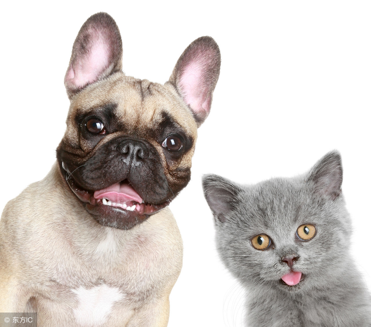 从超神学院，到如今雄兵连，你记忆最深刻的那句话？