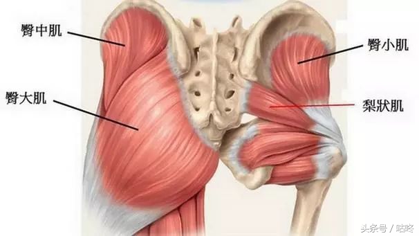 跑步後屁股隱隱作痛，忍？那就危險了！